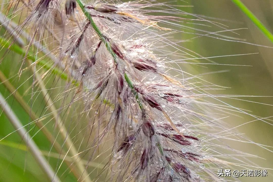徕卡sl90-280拍人像,徕卡sl24-90镜头与24-70镜头比较