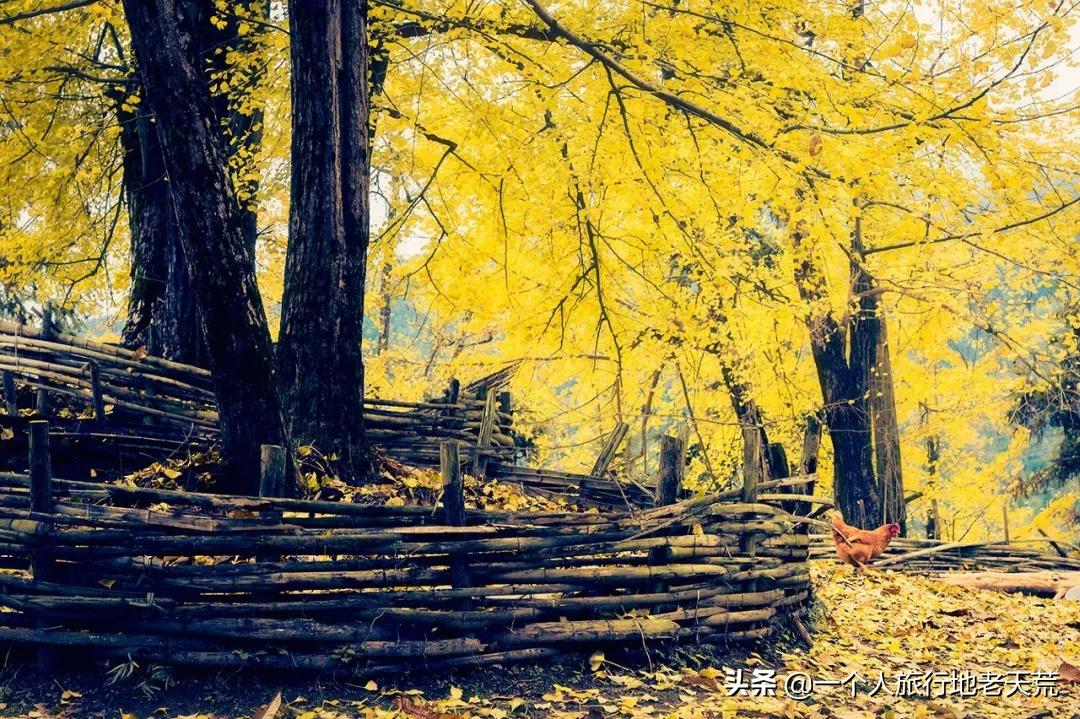 国内最适合一个人旅行的20个地方!去过才懂得什么是自由
