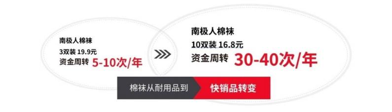 南极电商｜时间的玫瑰？