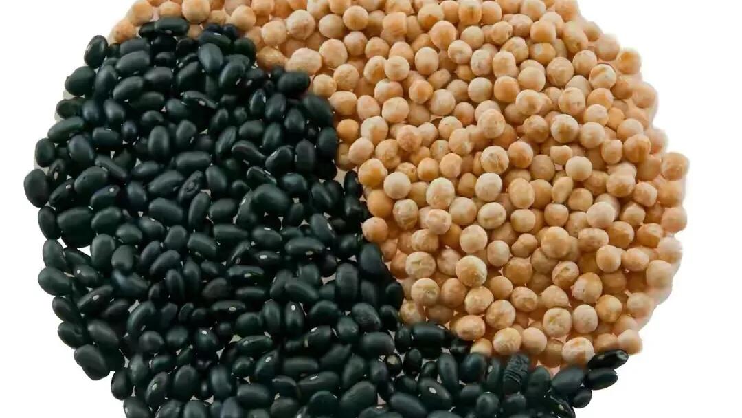 麻木的治疗法则,麻木中医怎么治疗