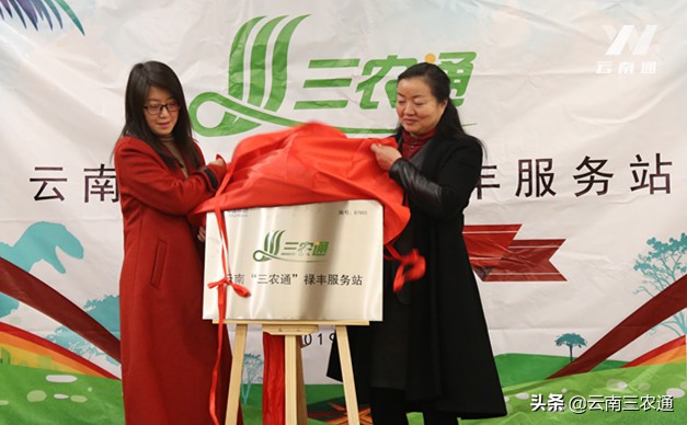 三农服务工作站,做一个合格的农民搬运工