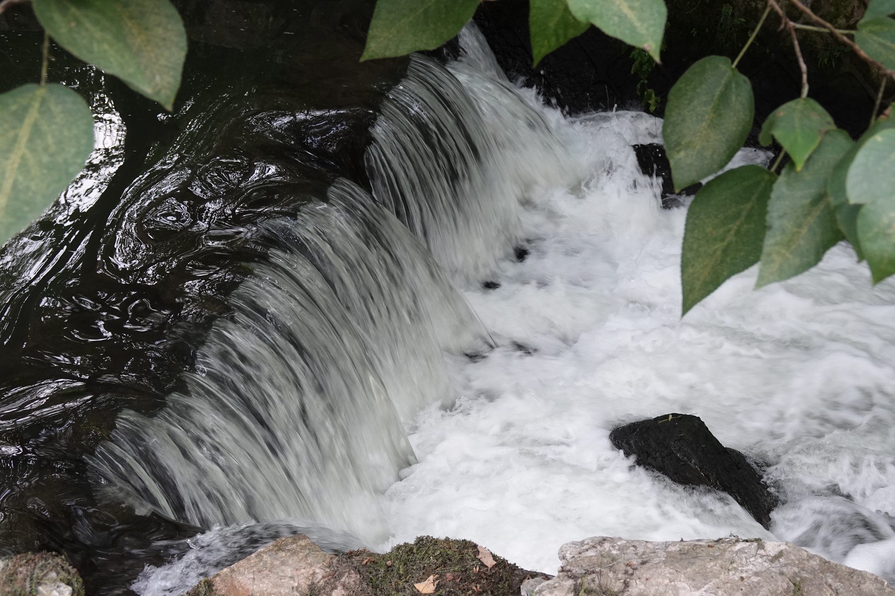 青芝坞民宿离西湖有多远,杭州青芝坞民宿排名榜