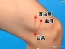 雷师兄气血双补按摩什么穴位,气血双补的穴位有哪些