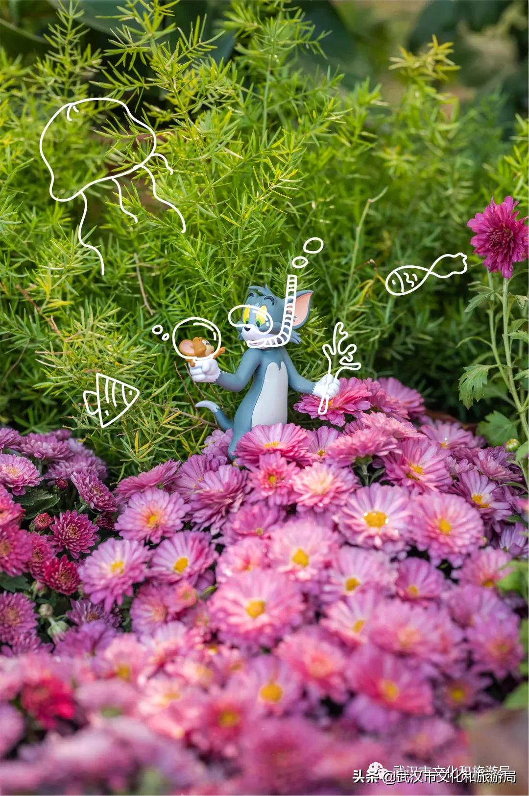 武汉秋天的第一场音乐节,武汉秋天第一场音乐节