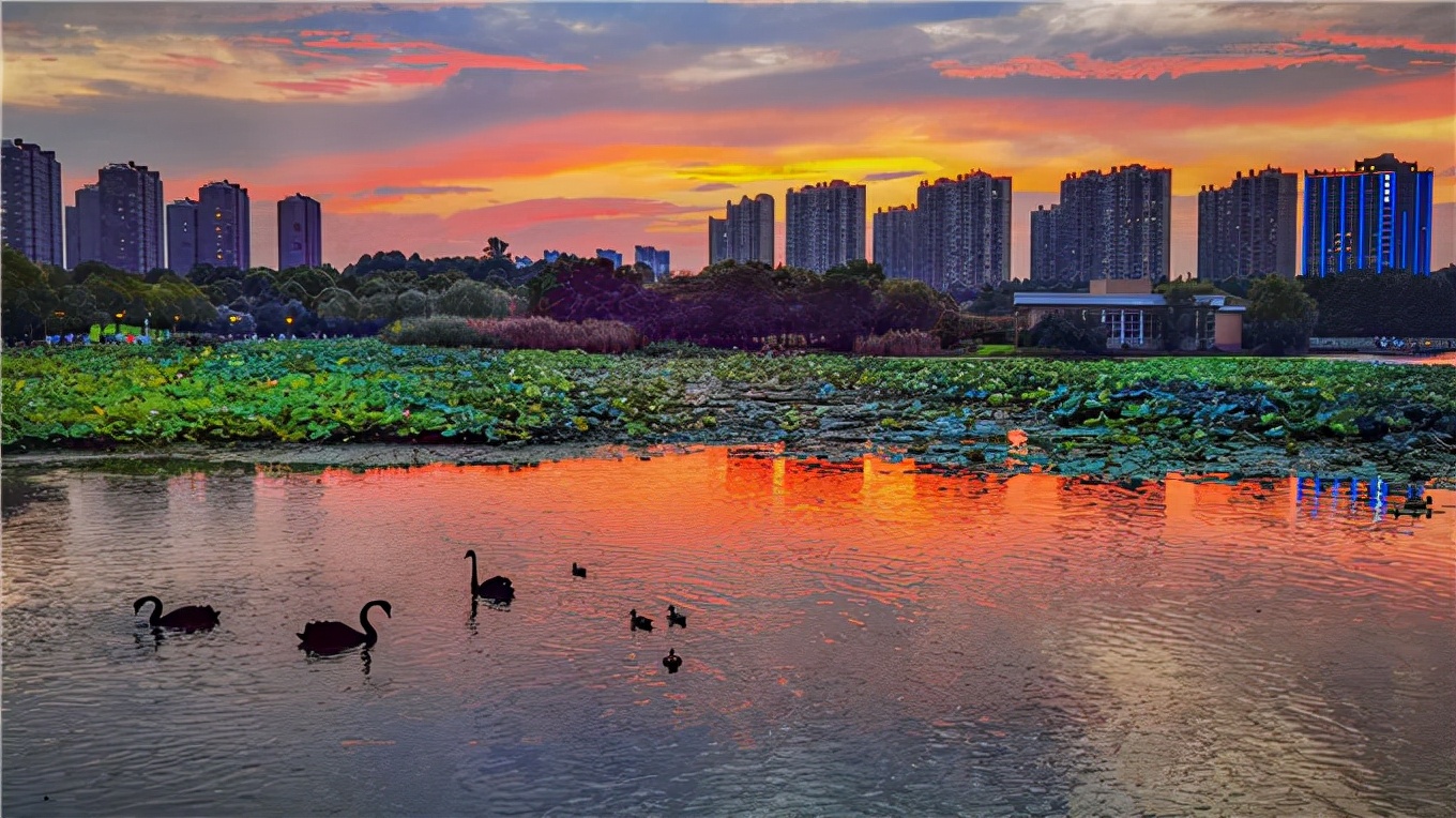 爱运动的小伙伴,爱运动奔跑的人看过来