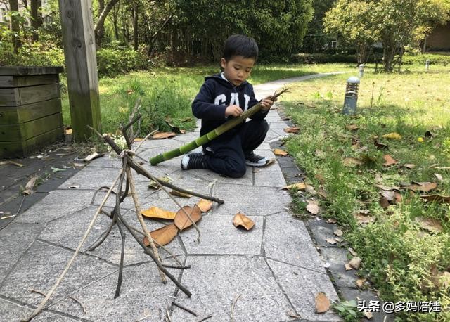 可以带孩子玩的大自然游戏,野外探险游戏项目