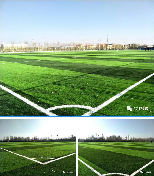 国外人造草坪足球场,高端人造草足球场