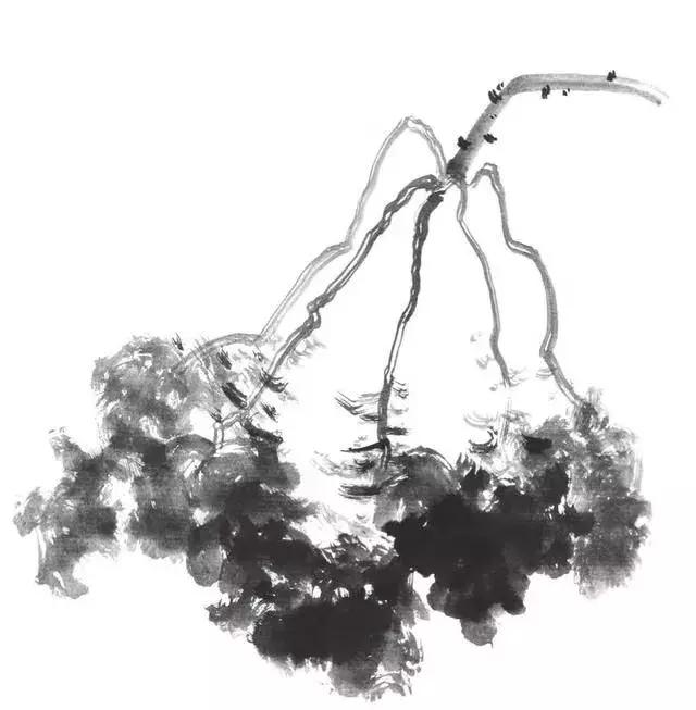 白描荷花的画法图片,如何画荷花国画白描