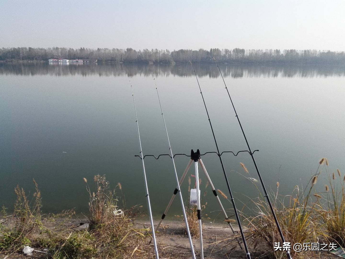 岸筏钓鲫鱼双钩怎么钓视频,岸筏野钓鲫鱼用多少编pe线好