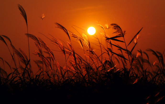 魏艳鸣对联100副,六度中国对联创作奖得主魏艳鸣