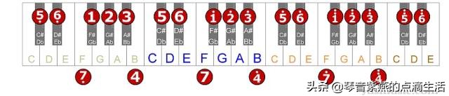 电子琴母亲0基础指法,学习电子琴音阶指法