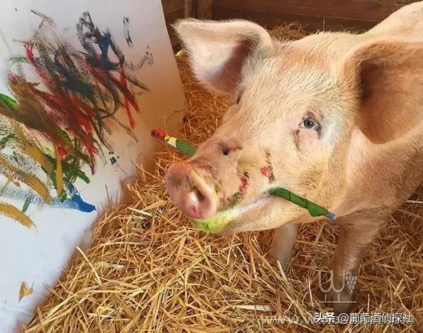 新冠疫情冲击下的国际形势,新冠肺炎疫情冲击下的国际形势