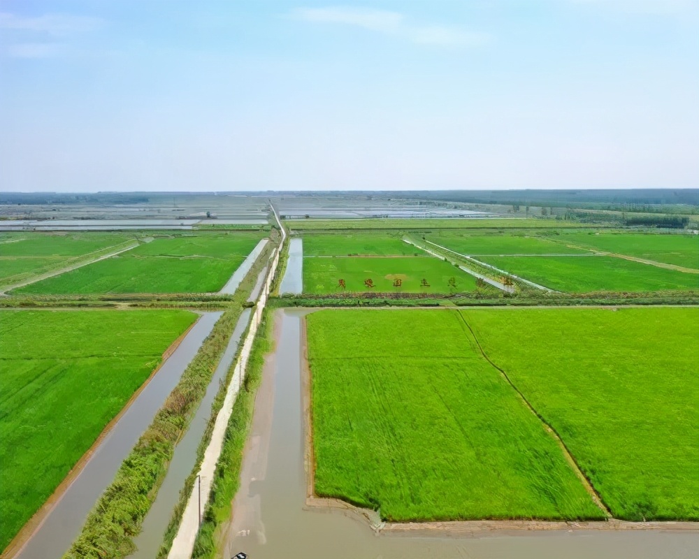 应来之城食用盐生产,应来之城餐馆