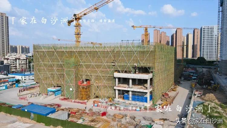 洪山万科广场viviland海洋世界,长沙万科广场viviland