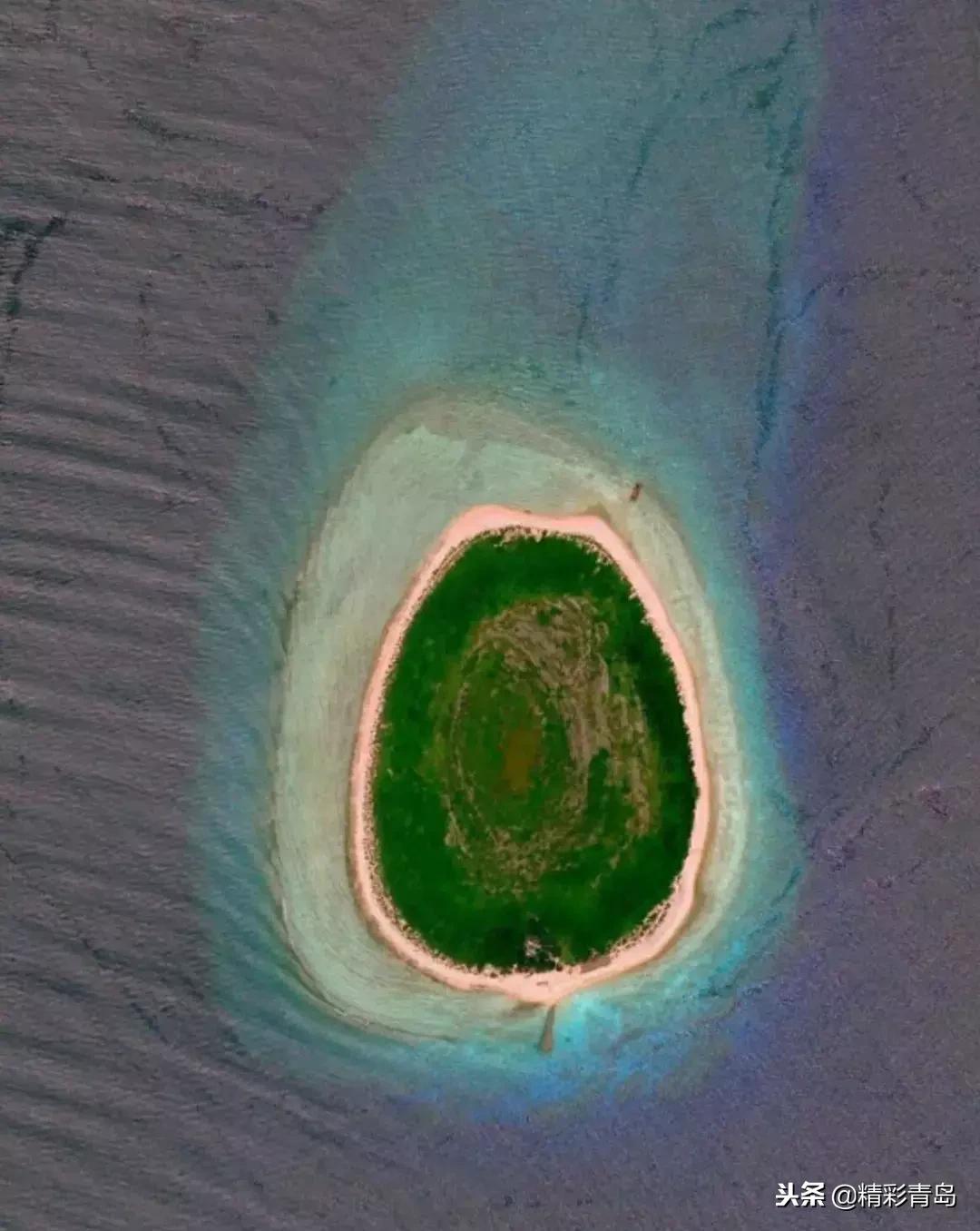 什么是麻雀定律,什么是应激反应表现有哪些