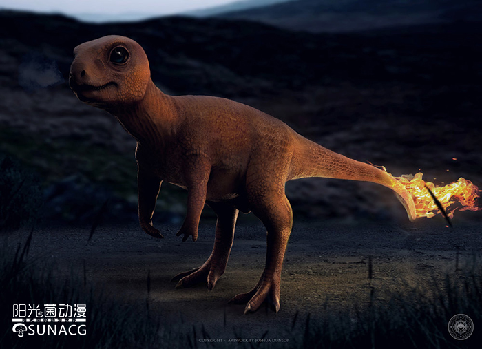 国外画精灵宝可梦,插画宝可梦