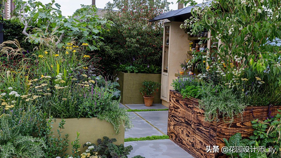 2023年切尔西花展各个花园的介绍,切尔西花展最佳花园