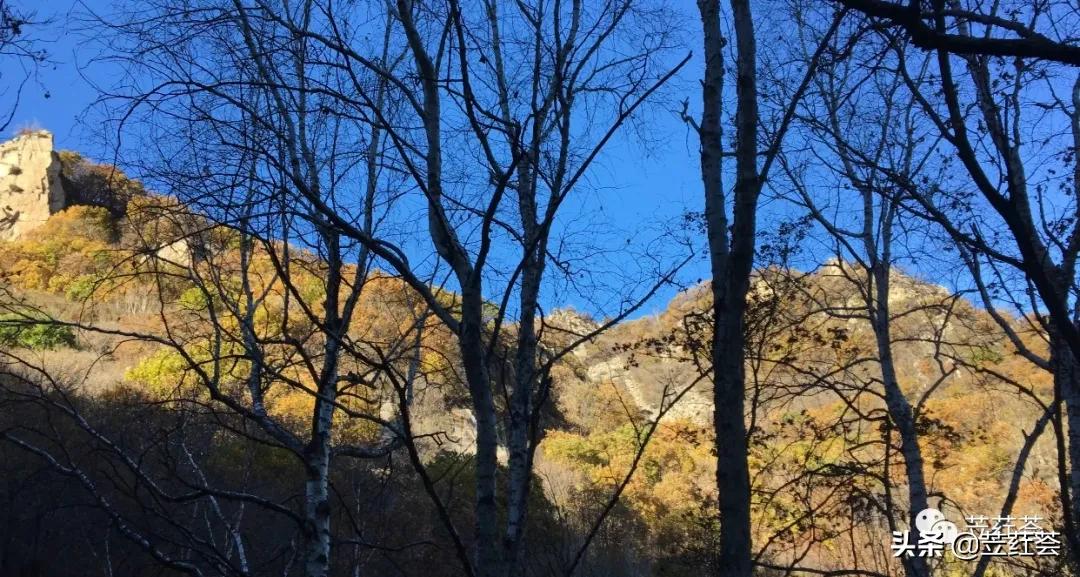 走进喇叭沟​——作者：朱立红（第五首诗歌）|苙荭荟诗