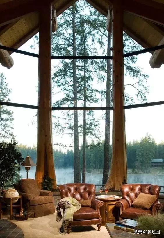 松木简介,松木原木介绍