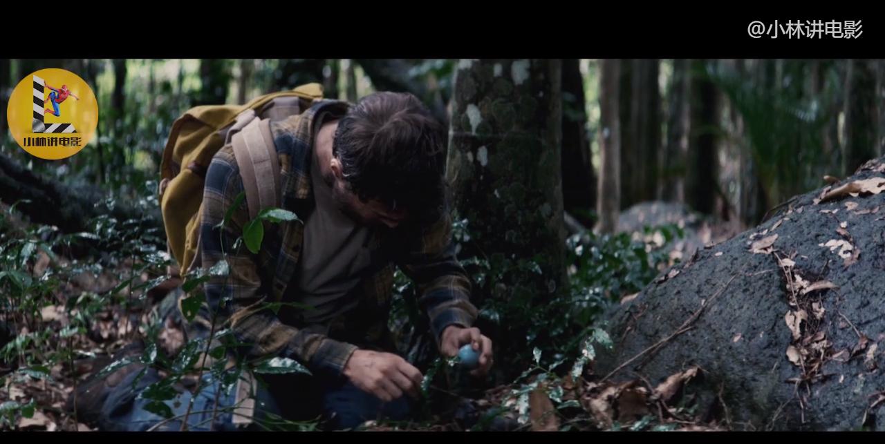 亚马逊热带雨林蟒蛇与怪物纪录片,埃德斯塔福德穿越亚马逊遇到蟒蛇