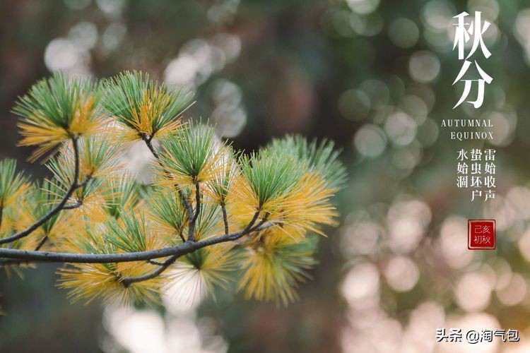 秋分一半热烈一半安详,秋分秋天分两半