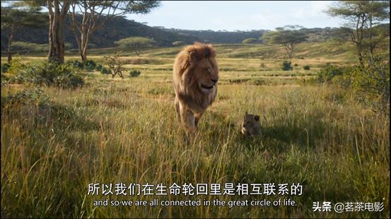 新版狮子王还会再次延续吗,狮子王高光时刻