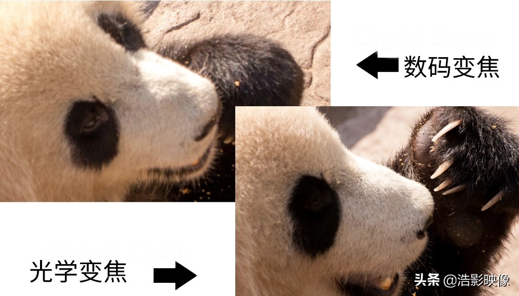 数字变焦和光学变焦对比,光学变焦和数码变焦哪个更清楚