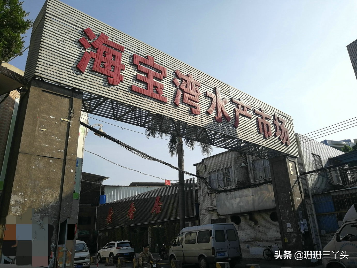 广州南沙生蚝最便宜海鲜市场,广州生蚝批发送货上门