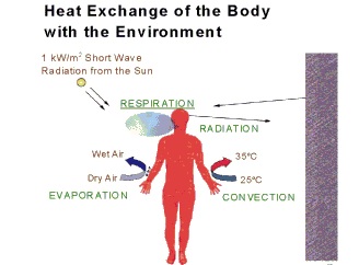 受凉屁多是怎么回事,受凉就咳嗽怎么回事
