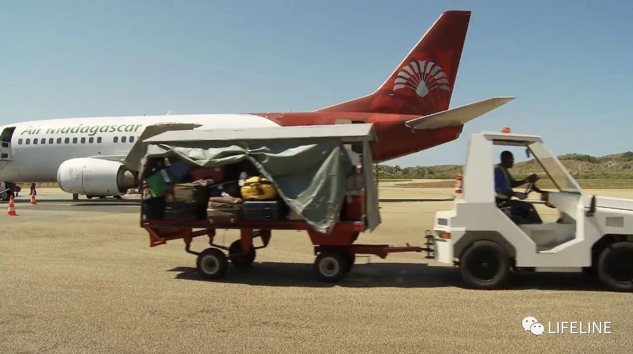 龟中“考拉”，请别让我们的孩子在博物馆见到它们...