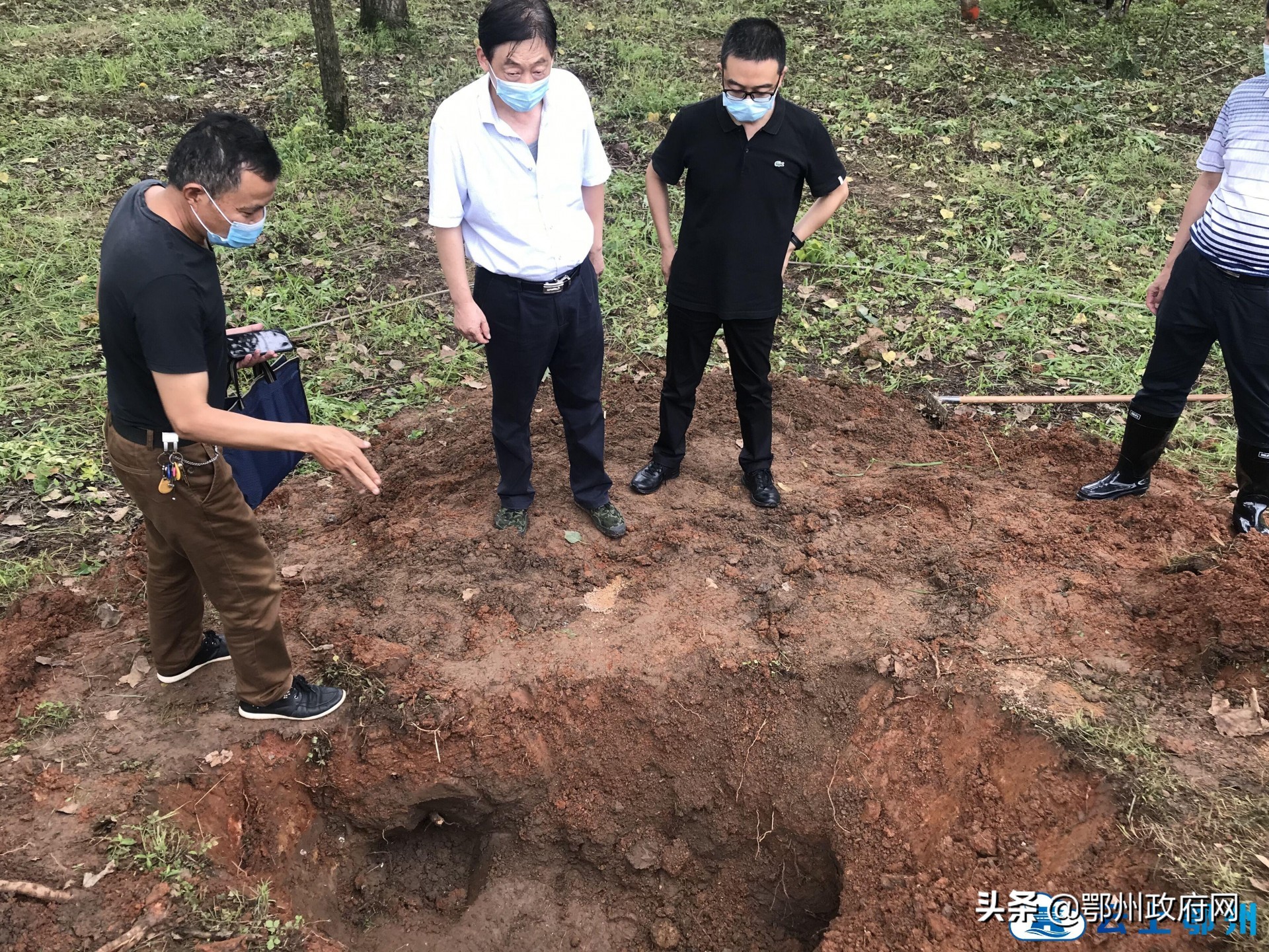 鄂州防汛江堤挖出白蚁巢穴3处，巡堤队员获1000元奖励