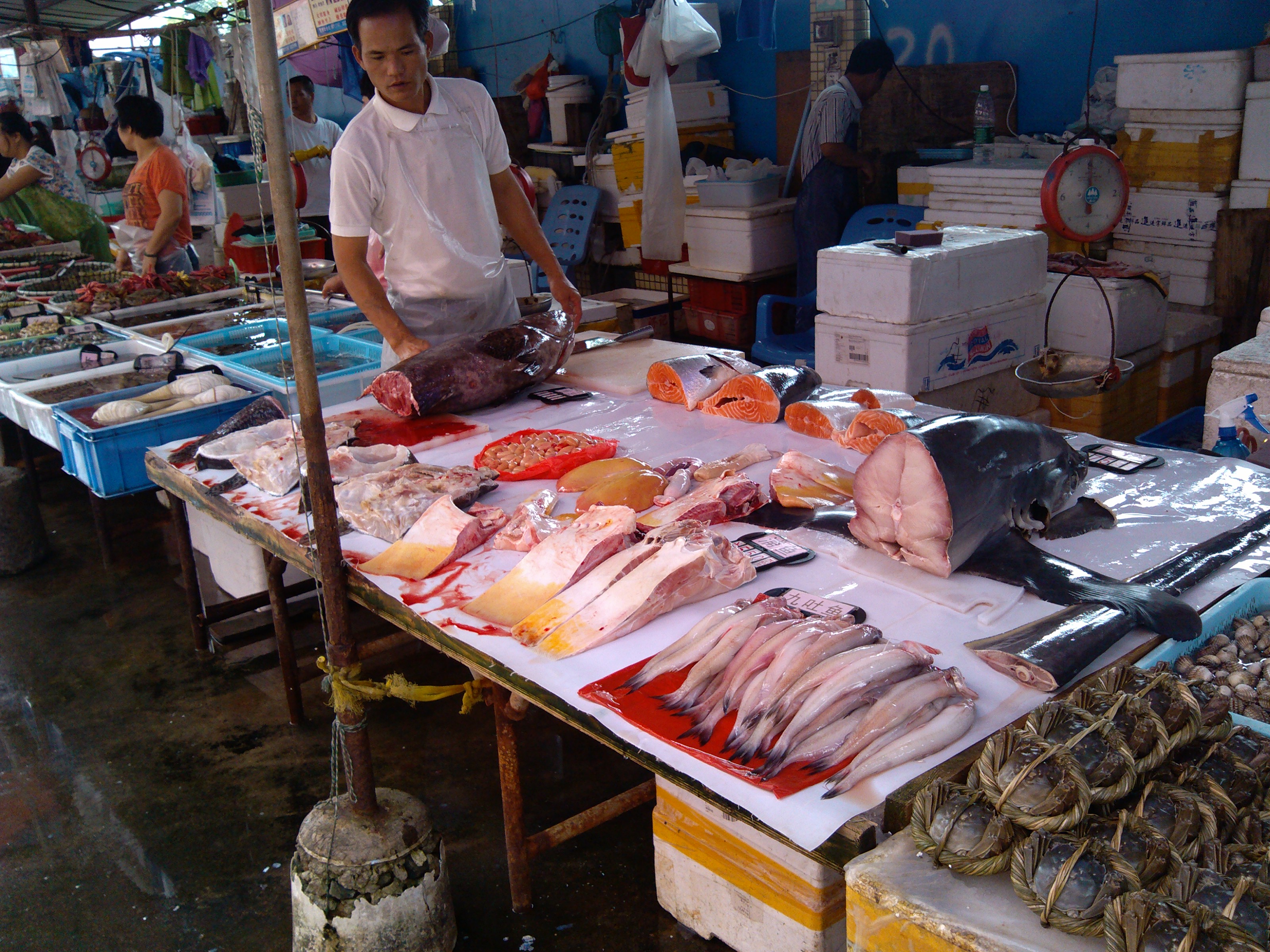 珠海石景山公园攻略,珠海澳门环岛游时间表