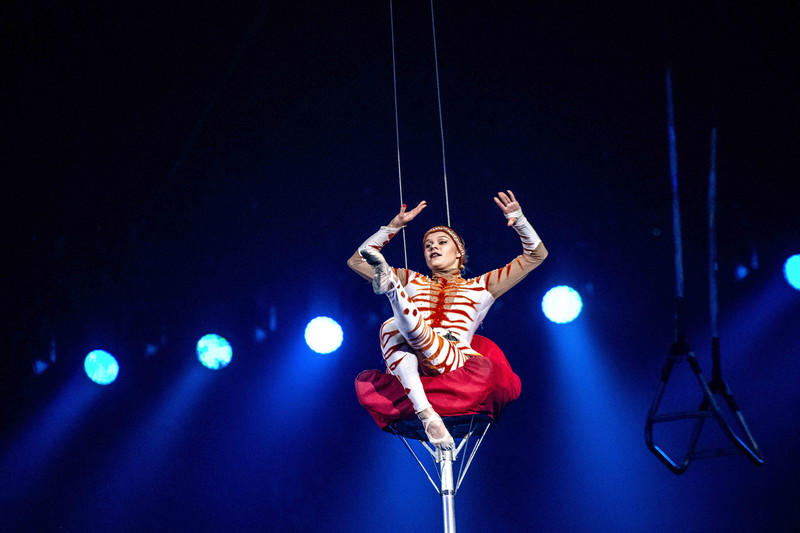 玩转广州长隆野生动物世界之行,广州长隆动物世界游玩攻略图