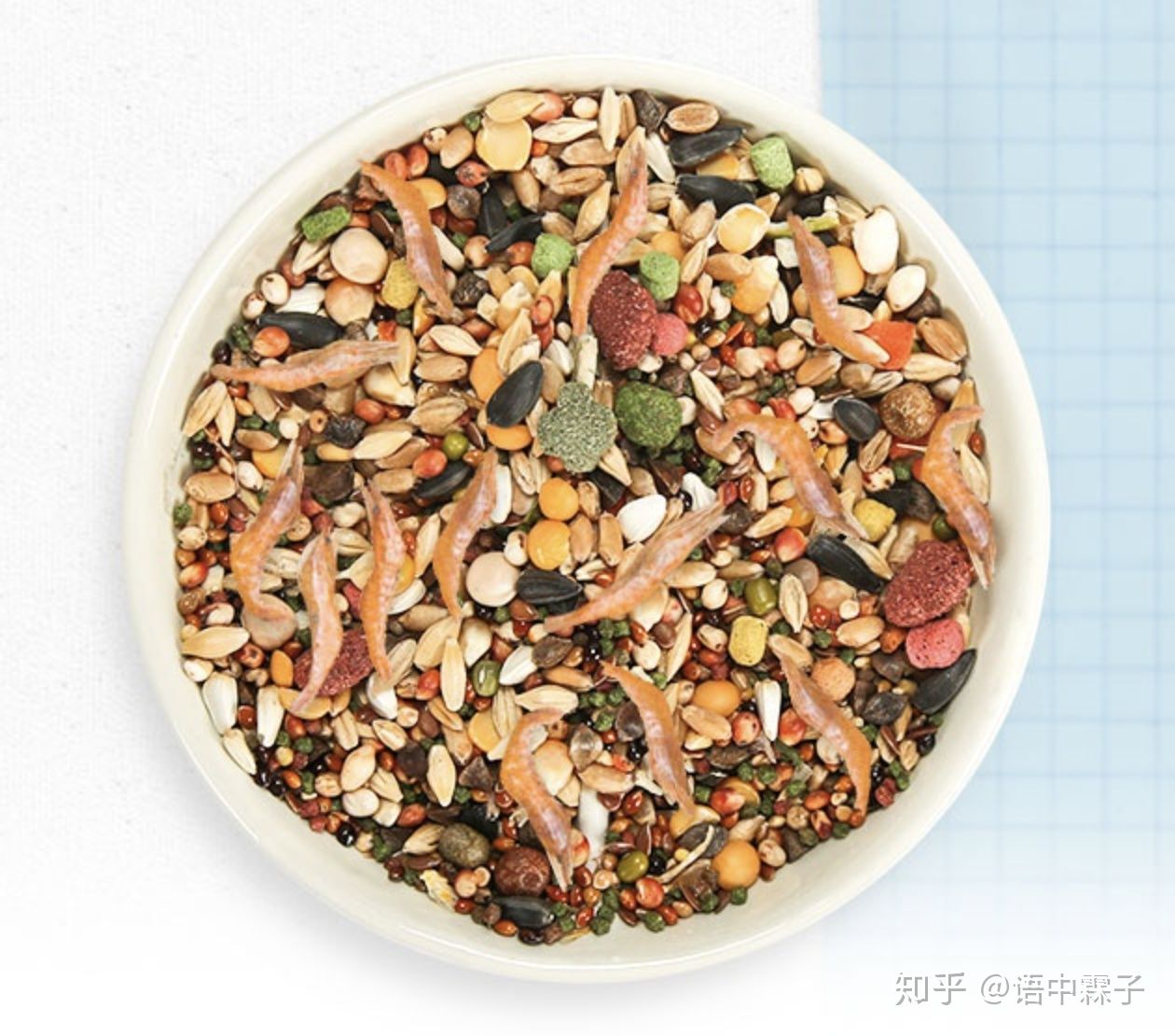 哪些品牌的仓鼠粮是渣粮,国产粮都是渣粮吗