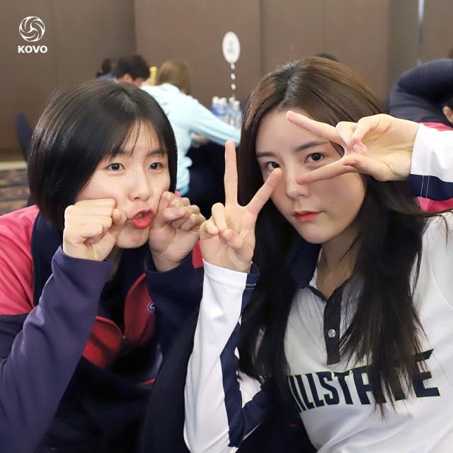 李多英李多贤是双胞胎吗,排坛美人