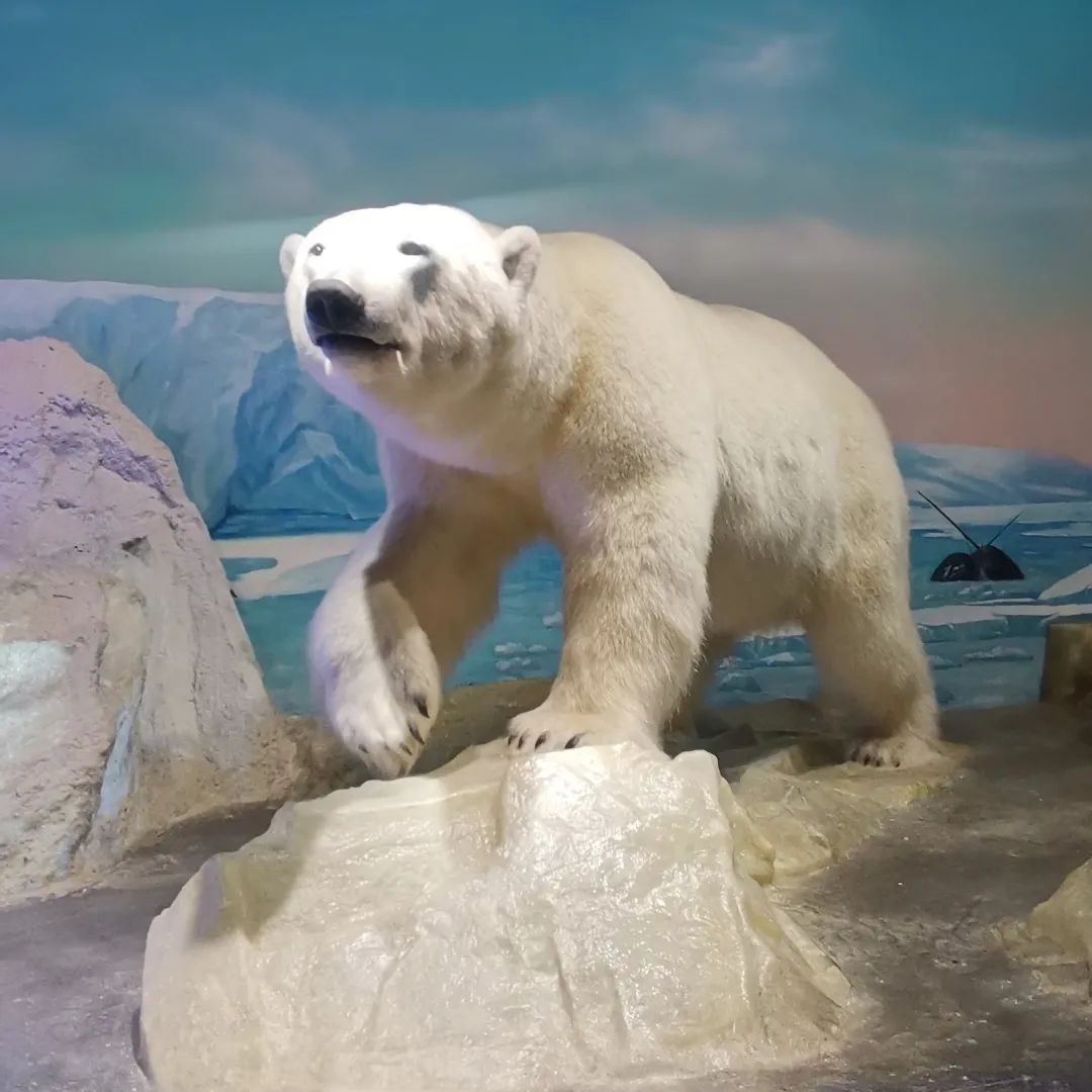 帷思特tch舒适家旗舰店直播,帷思特tch无锡店