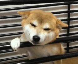 PUMA、阿迪折上折！Vans新联名超超超好看！！！