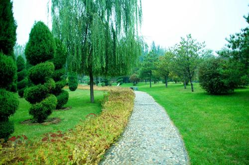 深圳市新开的公园,深圳新开放的公园有哪些