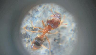 提高宝宝运动能力的玩具推荐,适合儿童的启蒙玩具