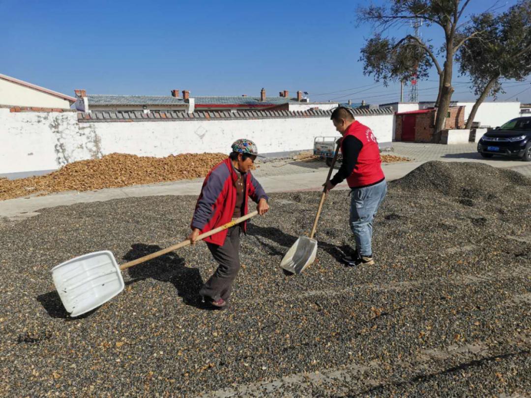 固阳县金山镇新时代文明实践,喜报固阳县文明创建再添荣誉