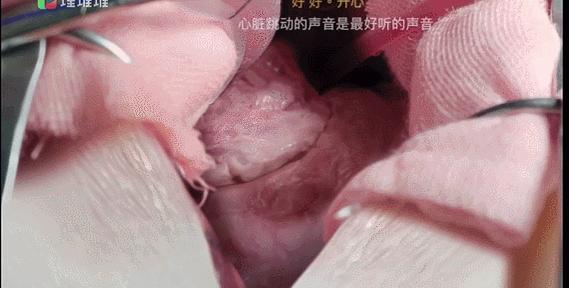 tvb8.8分 (tvb 9.5分)