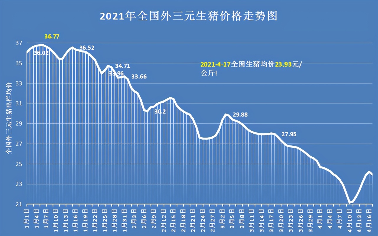 猪价暴跌养殖股会不会暴涨,猪价上涨养猪企业现金流得到改善