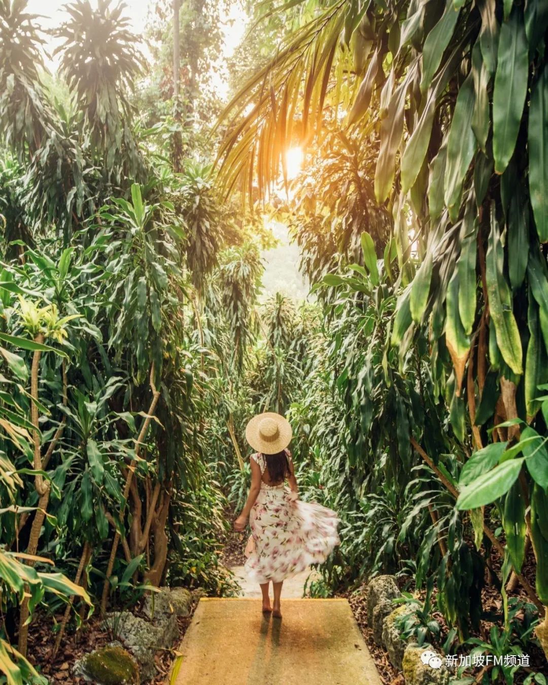 新加坡网红拍照店,新加坡网红点如何拍照