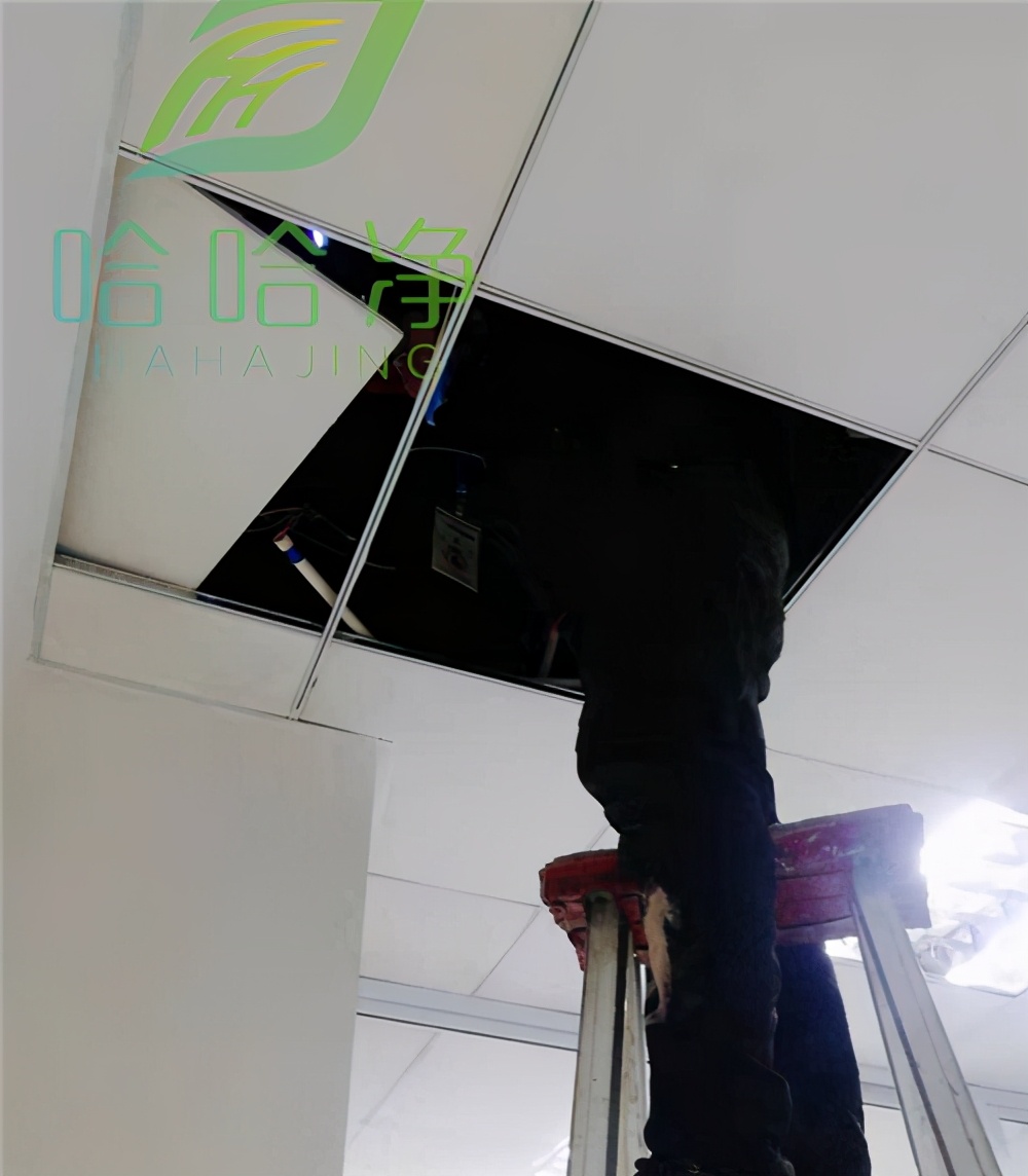 福州家庭老鼠防治公司,高新区家庭老鼠防治机构