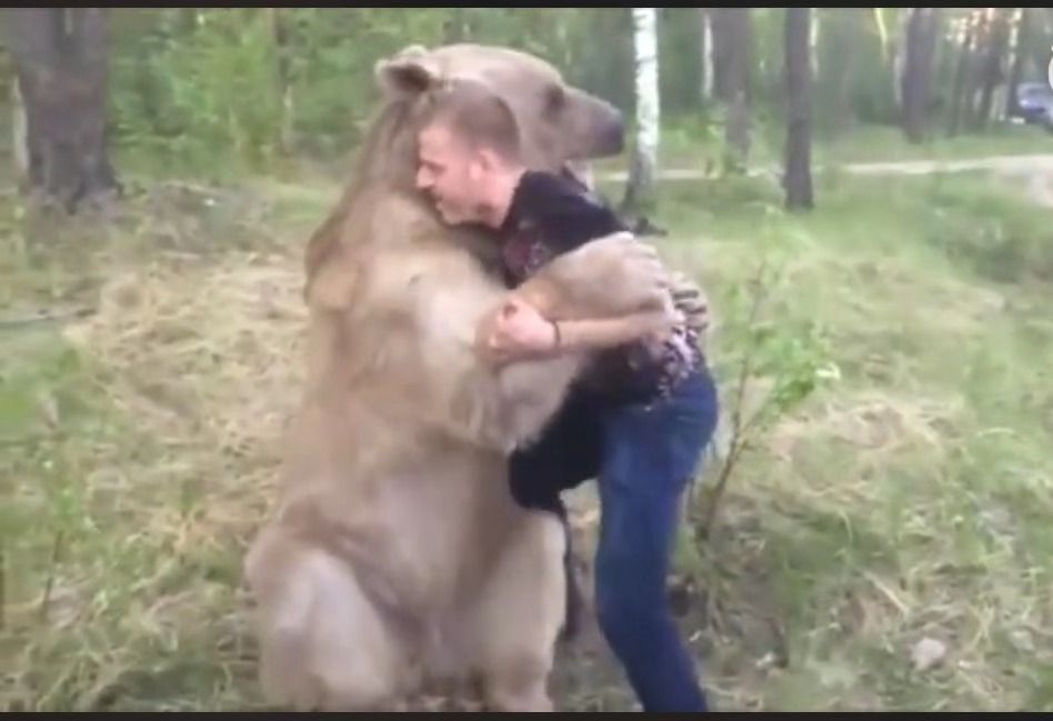 盘点俄罗斯人的彪悍时刻,30条关于俄罗斯的日常