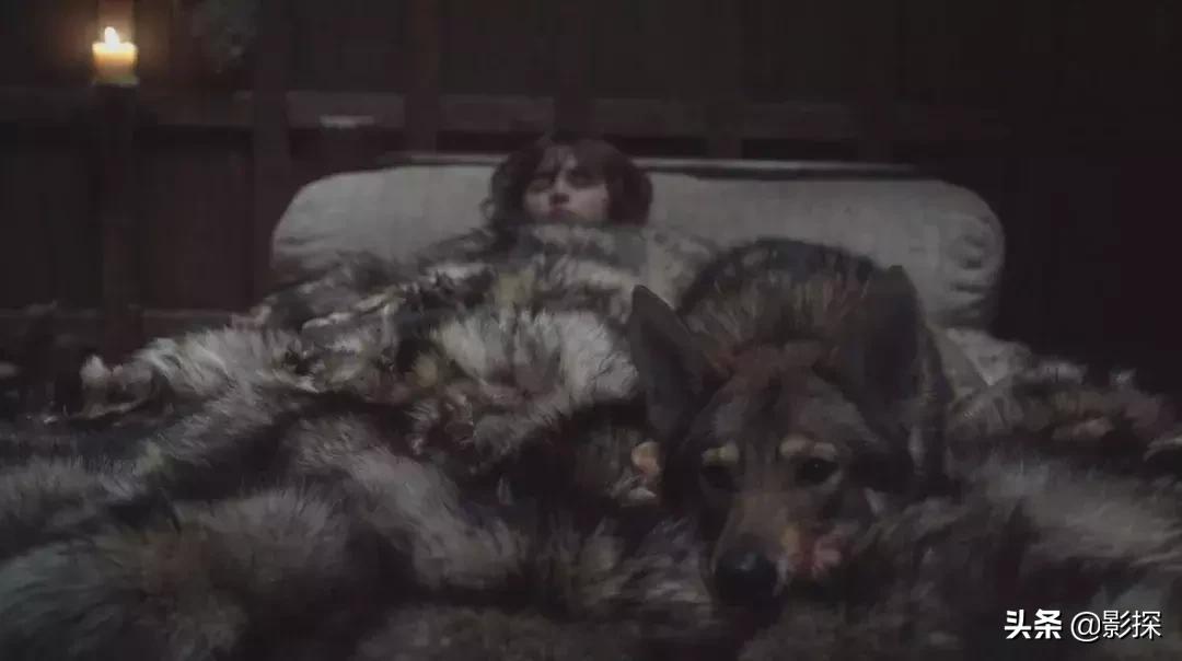 权游回顾|狼家陷落的背后，到底有多少阴谋？