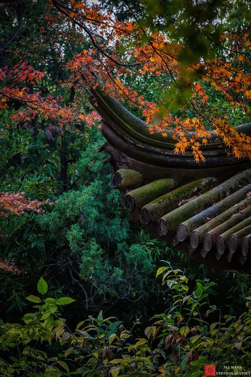 一入秋苏州成姑苏,秋色一入秋苏州就成了姑苏