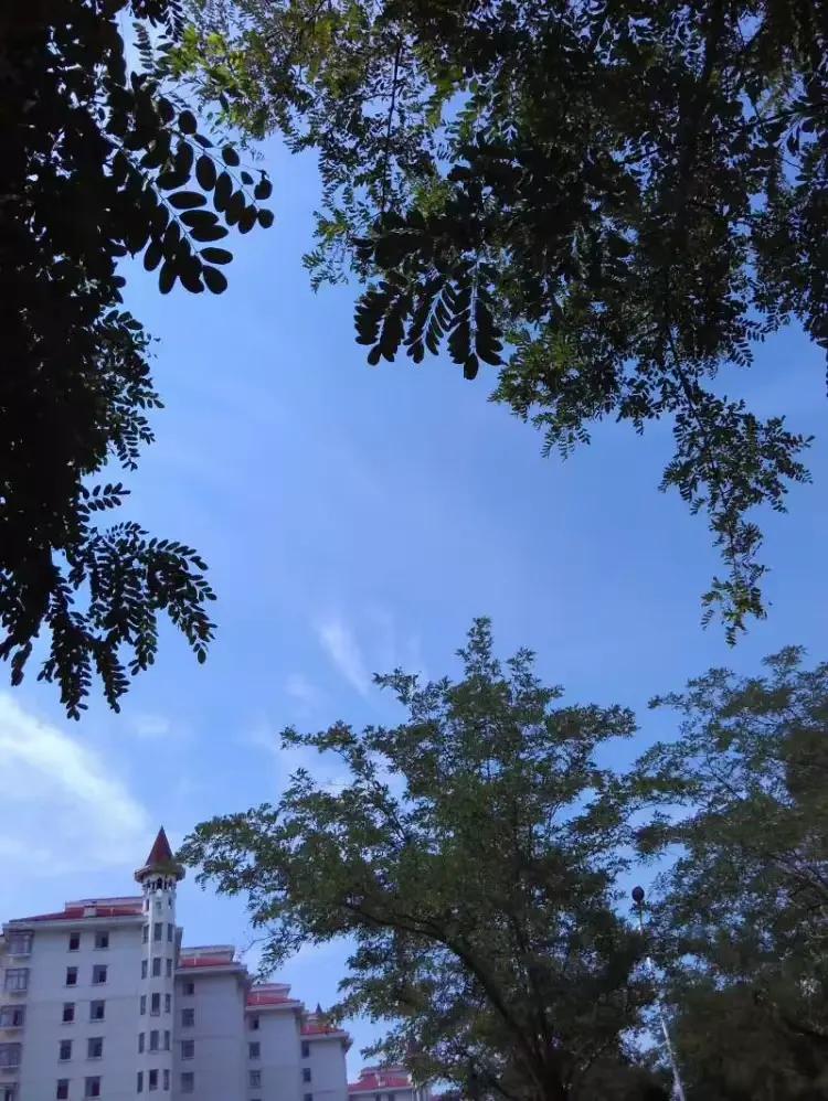 看正版杜梨儿的亲历，评价一下龙口海景房是鬼城还是天堂！