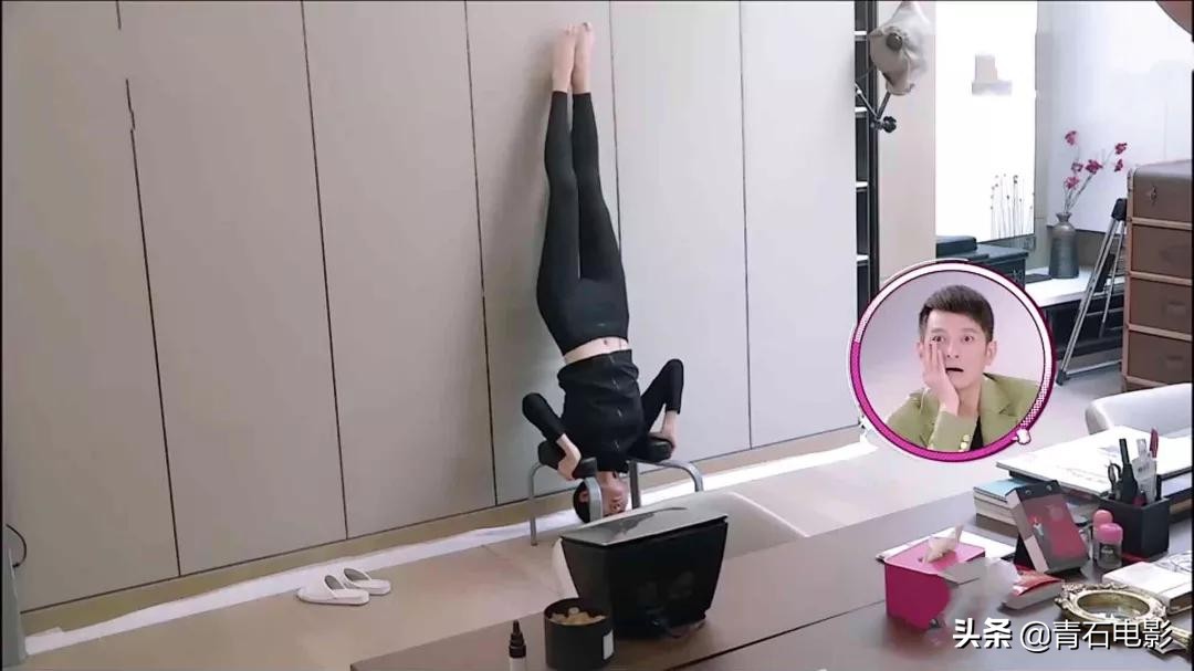 王鸥龙丹妮综艺节目,龙丹妮和维嘉现在关系