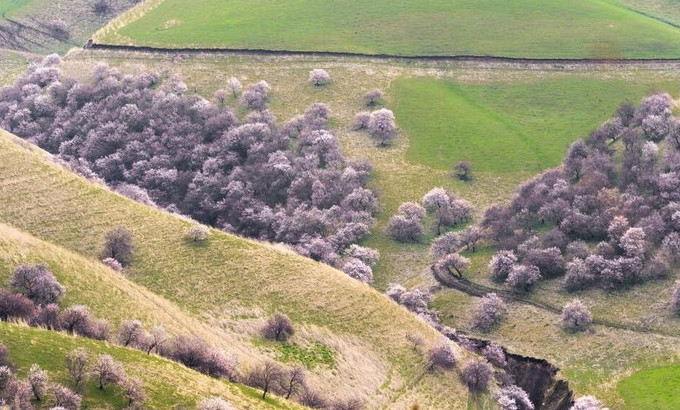 你永远不会体会到*疆新**公路的风情万种，除非你亲自自驾到那里！